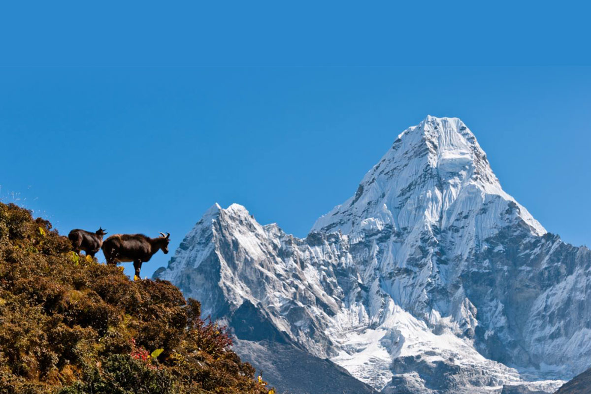 nepal-trek1.jpg