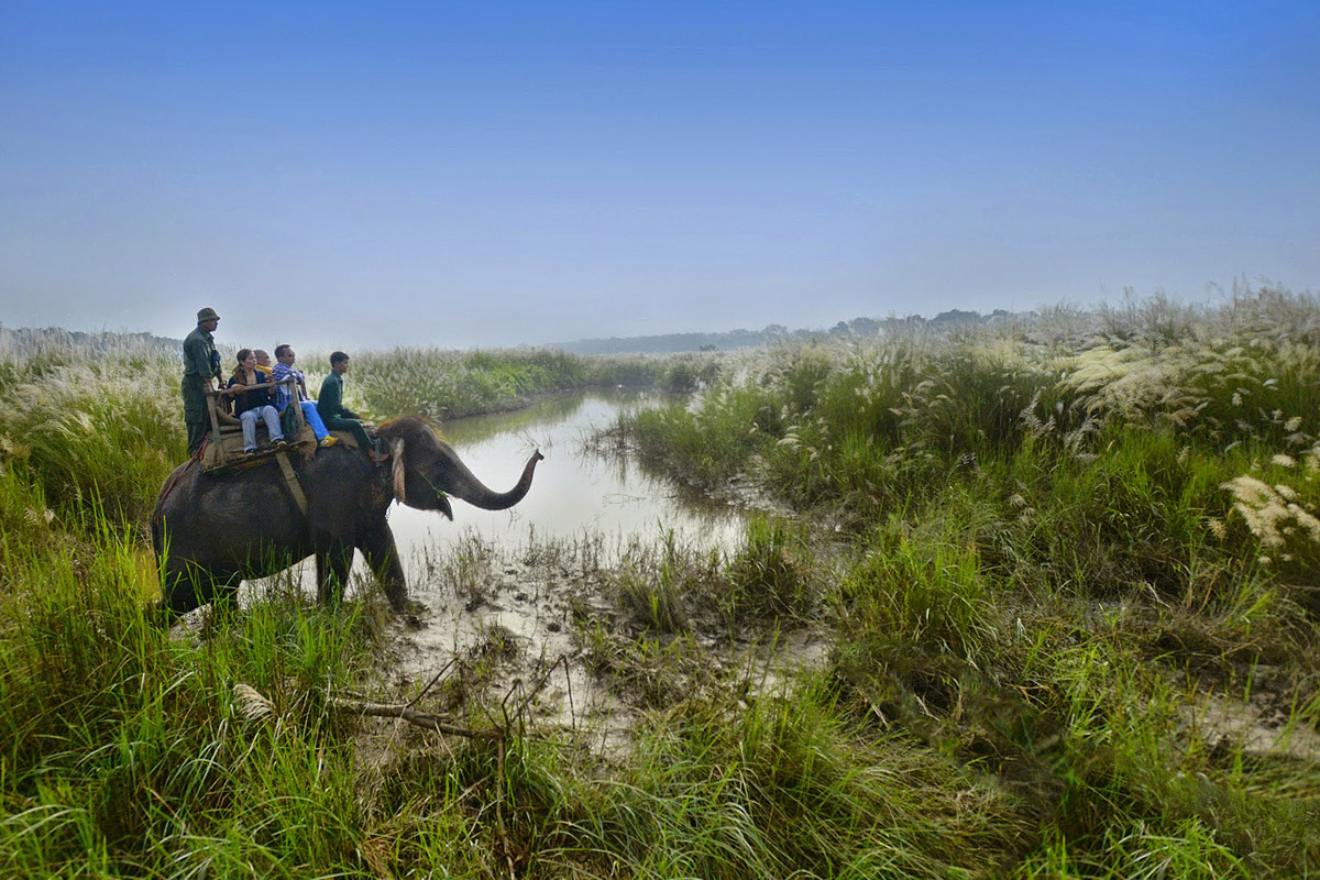 Chitwan Wildlife Safari