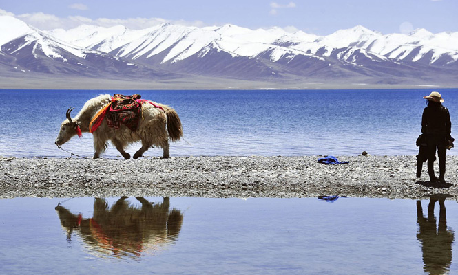 Lhasa Gyantse Shigatse Namtso Tour